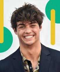 Noah gregory centineo1 2 is an american actor and model.3 he is known for his roles in the final three seasons of the television series the fosters centineo in 2020. Noah Centineo Just Shaved His Head In A Buzzcut