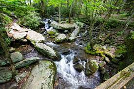 Beautiful Mountain Stream On The Roaring Fork Motor Nature Trail Nature Trail Scenic Drive Mountain Vacations