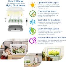 Maybe you would like to learn more about one of these? Buy Hydroponics Growing System With Grow Lights For Indoor Herb Garden Create A Tower Garden With Stackable And Modular Hydroponics Beginners Kits Grow Fresh Lettuce More Online In Turkey B095mbxpns
