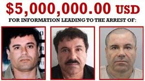How to fix a drug scandal. El Chapo And His Diamond Encrusted Pistols The Rich Times