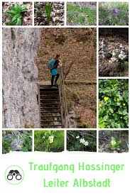 Traufgang Wanderung Hossinger Leiter Naturbelassene Landschaft Und Viele Verschiedene Blumen Urlaubsreisen Wanderung Erlebnisbader