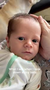 Jenny Burns (@jujubdaily) • Фото и видео в Instagram