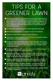 1 the basics of lawn aeration. Tips For A Greener Lawn By Cw Title And Escrow Issuu