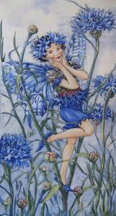 Cicely Mary Barker By Rochelle Whetton Flower Fairies Fairy Pictures Fairy Art