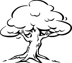 Baum Mit Wurzeln Ausmalbild Malvorlagen Baum Zeichnung Malvorlagen Blumen