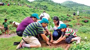 To encourage green crusaders, forest department seeks audit of ...