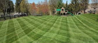 Our family will only be using lawnmowingonline.com from now on. Accepting New Lawn Mowing Clients In Northern Kentucky
