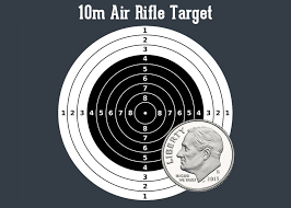 See more ideas about shooting targets, target, shooting range. 10 Meter Benchrest Target And Scoring For Single Pump Air Rifle Airguns Guns Forum