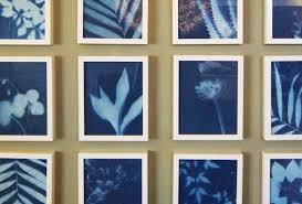 Photosensitive Botanical Prints Botanical Prints Prints Botanical Artwork