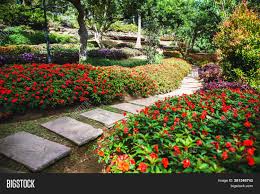 See more ideas about beautiful flowers, flowers, beautiful. Beautiful Nature Image Photo Free Trial Bigstock