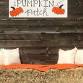 Parc de Oaks Pumpkin Patch event image