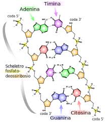 Related Image Molecular Biology Chemical Structure Learning Science