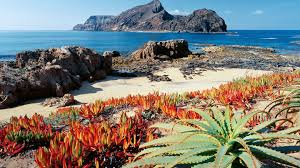 Porto santo is the smallest inhabited island of the a. Portugal So Paradiesisch Ist Die Kleine Insel Porto Santo Geo