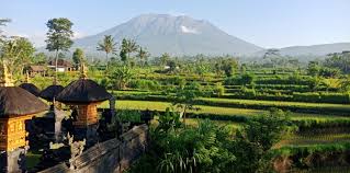 ^ subak sebagai sistem pengairan di bali. Sistem Irigasi Subak Dalam Kehidupan Masyarakat Bali Article Bali Kuna Agri