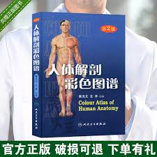 Is revolutionary for its insights into how different muscles of the body actually work during exercise. Human Anatomy Color Science Atlas System Regional Anatomy Human Body Anatomy Books Human Guardian Anatomy Textbook Orthopedic Surgery Genuine Books People S Medical Publishing House Can Take Knight Ninth Edition Clinical Medicine Textbook