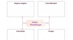 Kunci jawaban tema 1 kelas 5 halaman 103. Kunci Jawaban Kelas 4 Tema 1 Halaman 101 102 103 105 106 107 108 109 Peta Pikiran Indra Pendengar Tribunnews Com Mobile