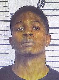 Celebrating the Thicket