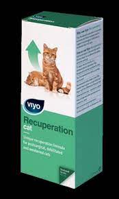 viyo recuperation kedi ek besin takviyesi 150 ml 163 30 tl en uygun fiyatli evcil hayvan urunleri