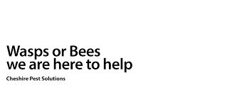 Guaranteed pest control in cheshire east ➡ hire a local pest exterminator to handle bed bugs, mice, rats, cockroaches, wasp nests and more. Cheshire Pest Solutions Ants Wasps Rats Mice We Re Here To Help