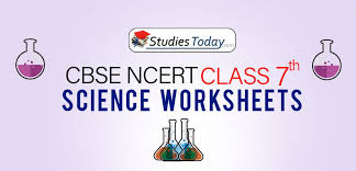 worksheets for class 7 science