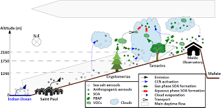 In supplements, it is used for symptoms related to menopause such as hot flashes. Acp Preliminary Results From The Farce 2015 Campaign Multidisciplinary Study Of The Forest Gas Aerosol Cloud System On The Tropical Island Of La Reunion