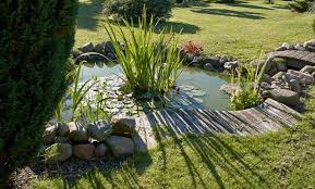 Soaking the soil to a depth of 5 to 6 inches encourages plants to grow deeper roots, which in the long run will make for a healthier garden. How To Maintain Your Garden Sense About Science Blog