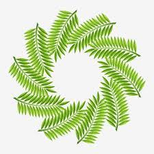 Forest Tropical Leaves Wreath Decoration Tropical Flowers Forest Tropical Leaf Leaf Png And Vector With Transparent Background For Free Download Spring Flowers Background Tropical Flowers Leaf Wreath