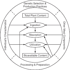 Factors Affecting Micronutrient Bioavailability To Humans From Plant Download Scientific Diagram
