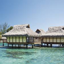 We did not find results for: Product Detail African Cape Reed Roofing Thatch Tile Djimart