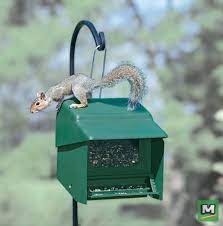 Stop Squirrels From Stealing Your Bird Seed With Homestead Super Stop A Squirrel Bird Feeder The Top Folds Back To Let You Easily Bird Feeders Bird Squirrel