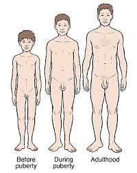 Alpha demonstrates and describes how to groom the butt cheeks and crack. Puberty Normal Growth And Development In Boys