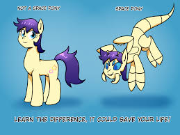 Vintage g 1 my little pony mlp stardancer. Ponybooru Tumblr Posts Tumbral Com
