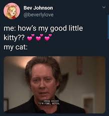 Robert California Is Nbc Theoffice Office Jimanddwight Jimhalpert Dwightschrute Pambeesly Michaelsco The Office Office Memes Memes