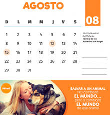 Check spelling or type a new query. Calendario 2021 Fechas Importantes Para Todo Pet Lovers