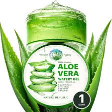 Image result for Aloe