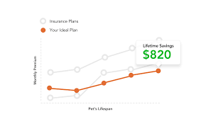 Figo offers premium pet insurance plans for dogs and cats. Why Pawlicy Advisor Is The Best Comparison Tool For Buying Pet Insurance Pawlicy Advisor