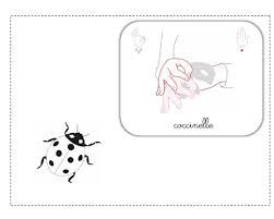 Coccinelle Lsf Illustration Langue Des Signes Langage Des Signes Langage Des Signes Bebe