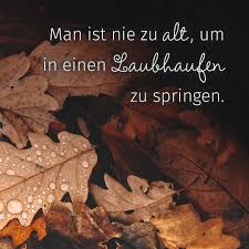Herbst Spruch Herbst Spruch Zitate Herbst Spruche