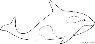 Free printable orca coloring page for kids. Killer Whale Coloring Pages Coloringall