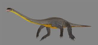 Image result for Tanystropheus