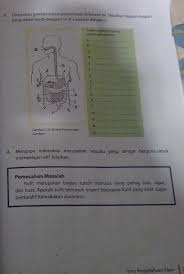 Doc rpp kd 1 materi objek ipa dan pengamatannya rahayu maysyarah. Ipa Kelas 7 Halaman 27 Semester 2secepatnya Tolong Yang Baik Brainly Co Id
