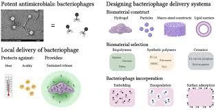 Find out if a mail flow rule (also known as a transport rule) acted on a message. Frontiers Local Bacteriophage Delivery For Treatment And Prevention Of Bacterial Infections Microbiology
