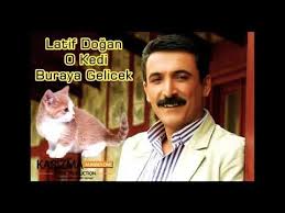 Demet Aktas O Kedi Youtube