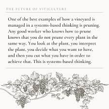 Summer keeps going! Join us in listening to Antonio Graca talk about the  future of viticulture. #arenisummer #areniglobalinconversation  #regenerativeviticulture