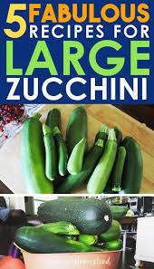 Maybe you would like to learn more about one of these? 5 Amazing Recipes For Large Zucchini What To Do With Giant Zucchini