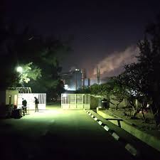 Image result for Haumaniastrum katangense