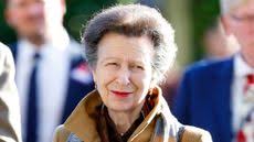 Princess Anne's surprising gift could come in handy