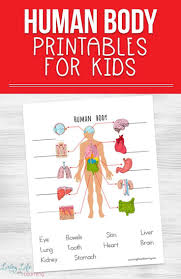 Human Body Printables Fur Kinder Bildung2 Human Body Printables Free Human Body Body Systems Worksheets