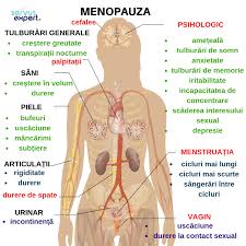 Hiperhidroza primară are adesea cauze genetice, iar primele simptome apar deja la pubertate. Dureri Articulare TranspiraÈ›ii Nocturne 5 Cauze Pentru Care Apare TranspiraÈ›ia NocturnÄƒ TranspiraÈ›ii Nocturne È™i Dureri Articulare