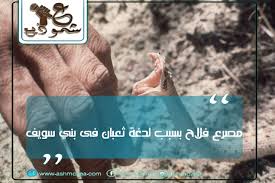 مصرع فلاح بسبب لدغة ثعبان في بنى سويف